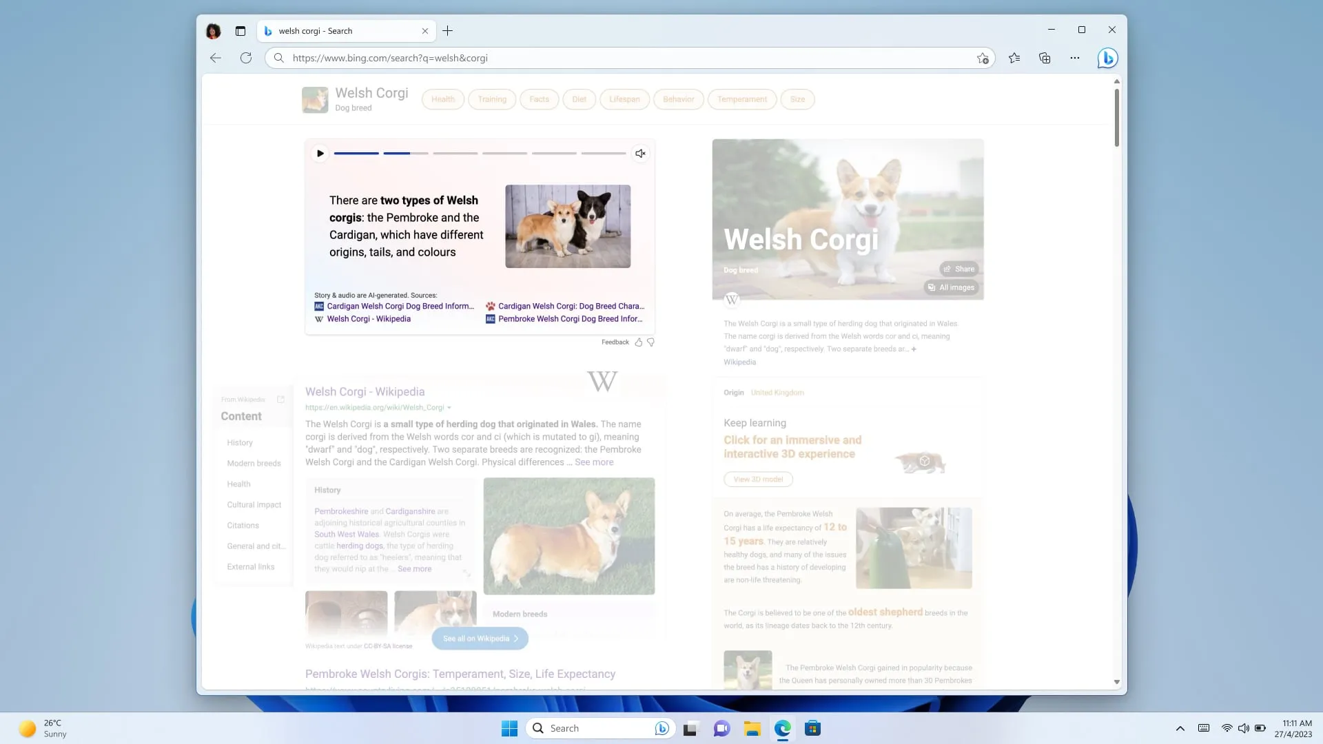 Visual Stories in Bing.com