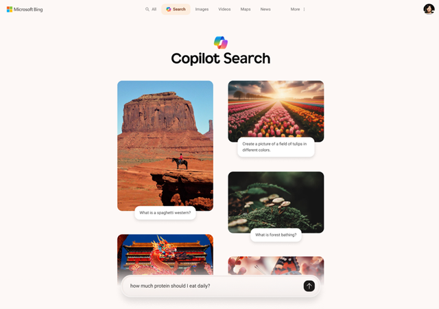 Copilot Search